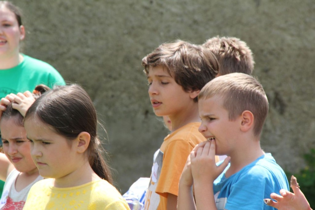 20150620_121411.jpg