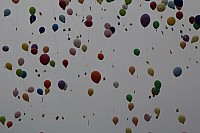 20150620_153121.jpg